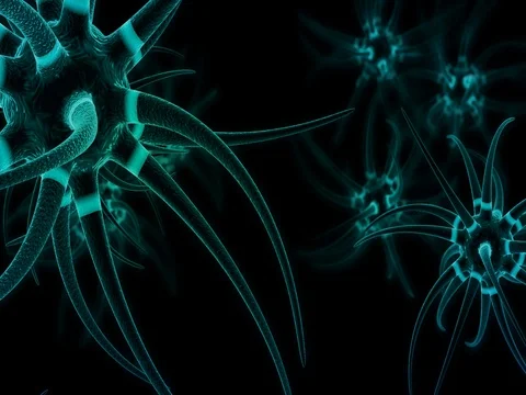 The nervous system Stock Footage 77604804