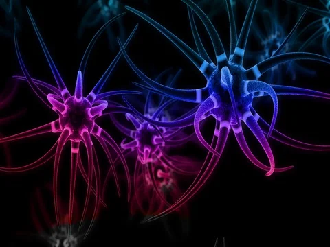 cool nervous system images
