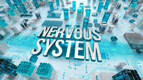 Nervous System with medical digital technology concept Stock Footage 116294571