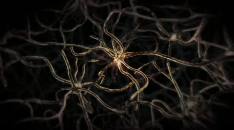 Nervous System Neuron Cells Stock Footage 20481035