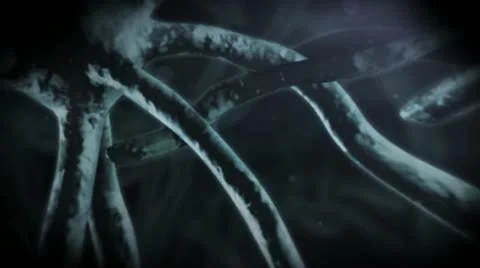 Nervous System Neuron Cells Stock Footage 20481059