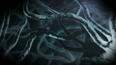 Nervous System Neuron Cells Stock Footage 20481090