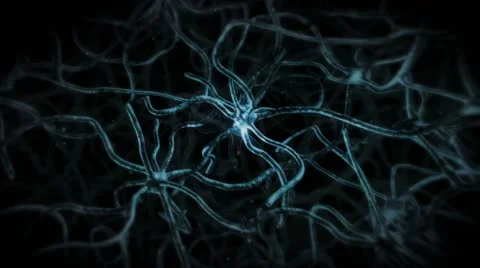 Nervous System Neuron Cells Stock Footage 20481112