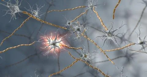 Nervous tissue is found in the brain, spinal cord, and nerves 3d illustration Stock Illustration