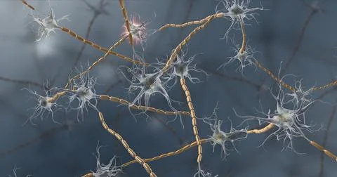 Nervous tissue is found in the brain, spinal cord, and nerves 3d illustration Stock Illustration