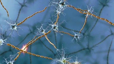 Nervous tissue structure Stock Footage 317245421