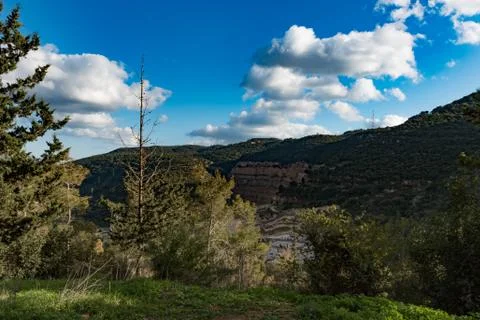 Nesher Park Stock Photos