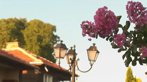 Nessebar street  Stock Footage 3677390