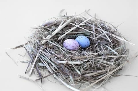 Nest And Easter Candy Stock Photos