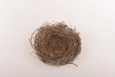 Nest of bird Stock Photos