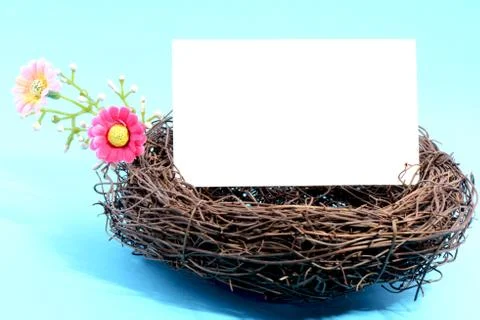 Nest with a blank card Stock Photos