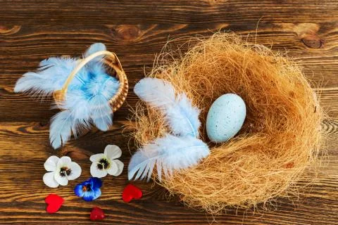 Nest with blue egg Stock Photos