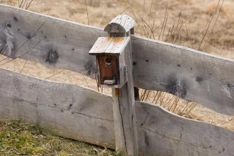 Nest box Stock Photos