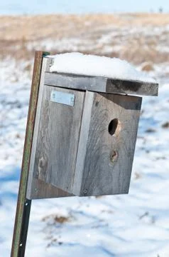 Nest Box in Winter Stock Photos
