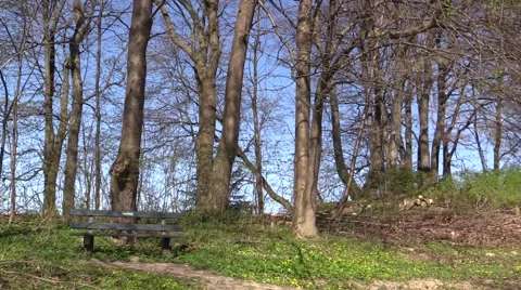 Nest boxes in trees in the bird sanctuary at Rungstedlund Stock-Footage 49412682