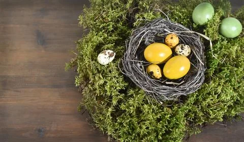 A nest of branches with Easter eggs on a background of natural green moss. Stock Photos