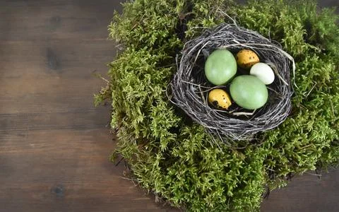 A nest of branches with Easter eggs on a background of natural green moss. Stock Photos