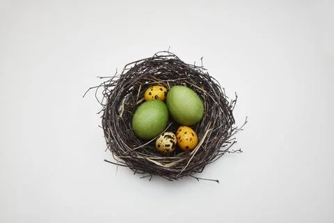 Nest of branches with Easter eggs on a white isolated background. Stock Photos