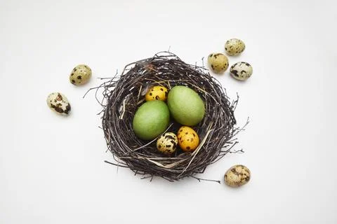 Nest of branches with Easter eggs on a white isolated background. Stock Photos