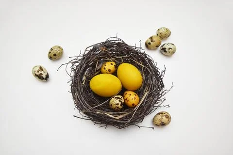 Nest of branches with Easter eggs on a white isolated background. Stock Photos