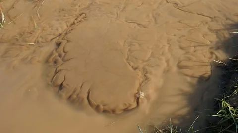 Nest of bubbles swinging on level of horrible smell dirty water. Stock Footage 103499011