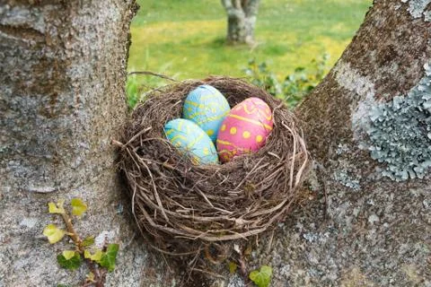 Nest with chocolate eggs for Easter Stock Photos
