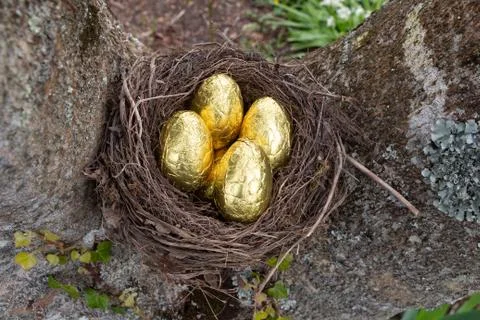 Nest with chocolate eggs for Easter Stock Photos