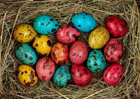 Nest with colored Easter eggs at home on Easter day. Celebrating Easter at sp Stock Photos