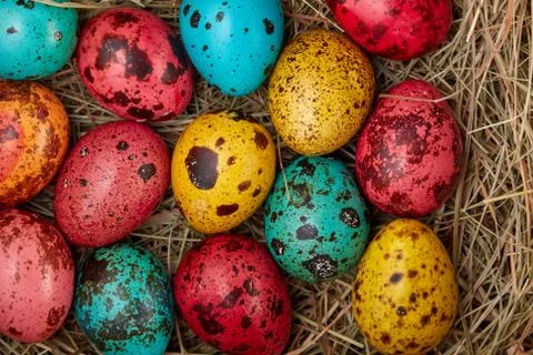 Nest with colored Easter eggs at home on Easter day. Celebrating Easter at sp Stock Photos