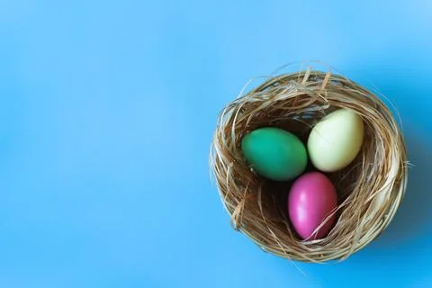 Nest of coloured Easter eggs on blue background Fotos de archivo