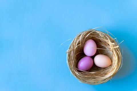 Nest of coloured Easter eggs on blue background Stock-Fotos