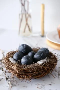 Nest with dark blue eggs for Easter and willow branches on a light background Stock Photos