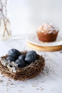 Nest with dark blue eggs for Easter and willow branches on a light background Foto stock