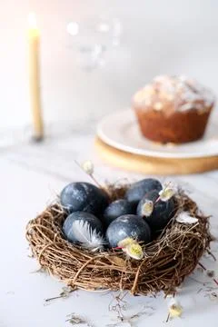 Nest with dark blue eggs for Easter and willow branches on a light background Stock Photos