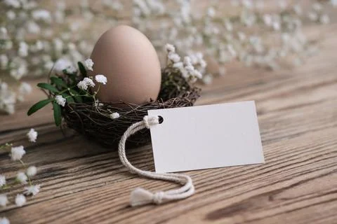 Nest with Easter egg and blank white card for text. Mockup tag. Easter card.. Stock Photos