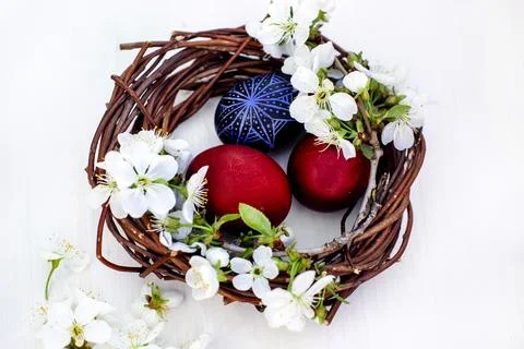Nest with Easter eggs and branches of spring flowering cherries on a white Stock Photos