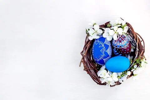 Nest with Easter eggs and branches of spring flowering cherries on a white Stock Photos