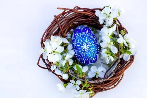 Nest with Easter eggs and branches of spring flowering cherries on a white Foto stock