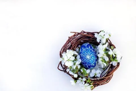 Nest with Easter eggs and branches of spring flowering cherries on a white Stock Photos