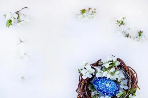 Nest with Easter eggs and branches of spring flowering cherries on a white Foto stock