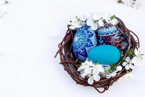 Nest with Easter eggs and branches of spring flowering cherries on a white Stock-Fotos