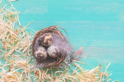 Nest with Easter eggs and hay straws around on vintage wooden background Stock Photos
