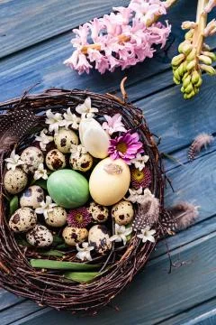 Nest with easter eggs on a blue wooden background Stock Photos
