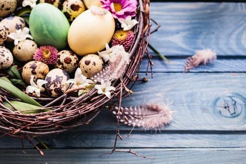 Nest with easter eggs on a blue wooden background Stock Photos