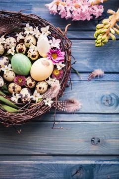 Nest with easter eggs on a blue wooden background Stock Photos