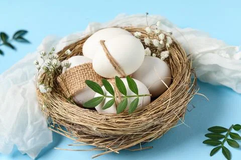 Nest with Easter eggs, leaves and gypsophila flowers on blue background Stock Photos