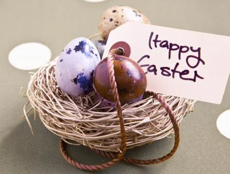 Nest with easter eggs Stock Photos
