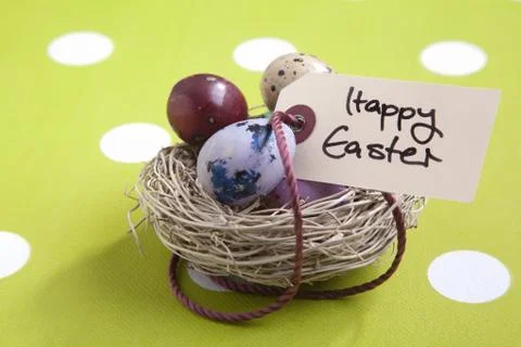 Nest with easter eggs Stock Photos