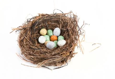 Nest with easter eggs Stock Photos