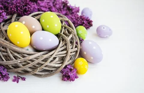 Nest with easter eggs Stock Photos